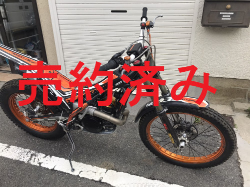 IMG_3883.JPEG