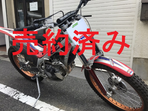 IMG_4455.JPEG