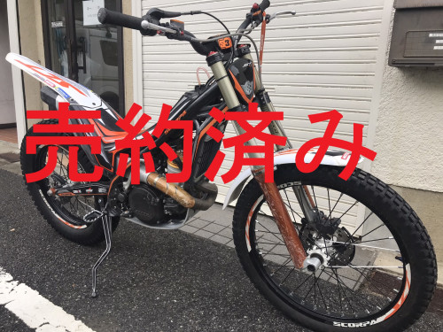 IMG_4512.JPEG