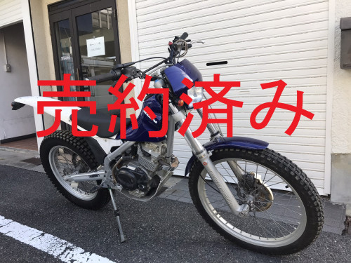IMG_4765.JPEG