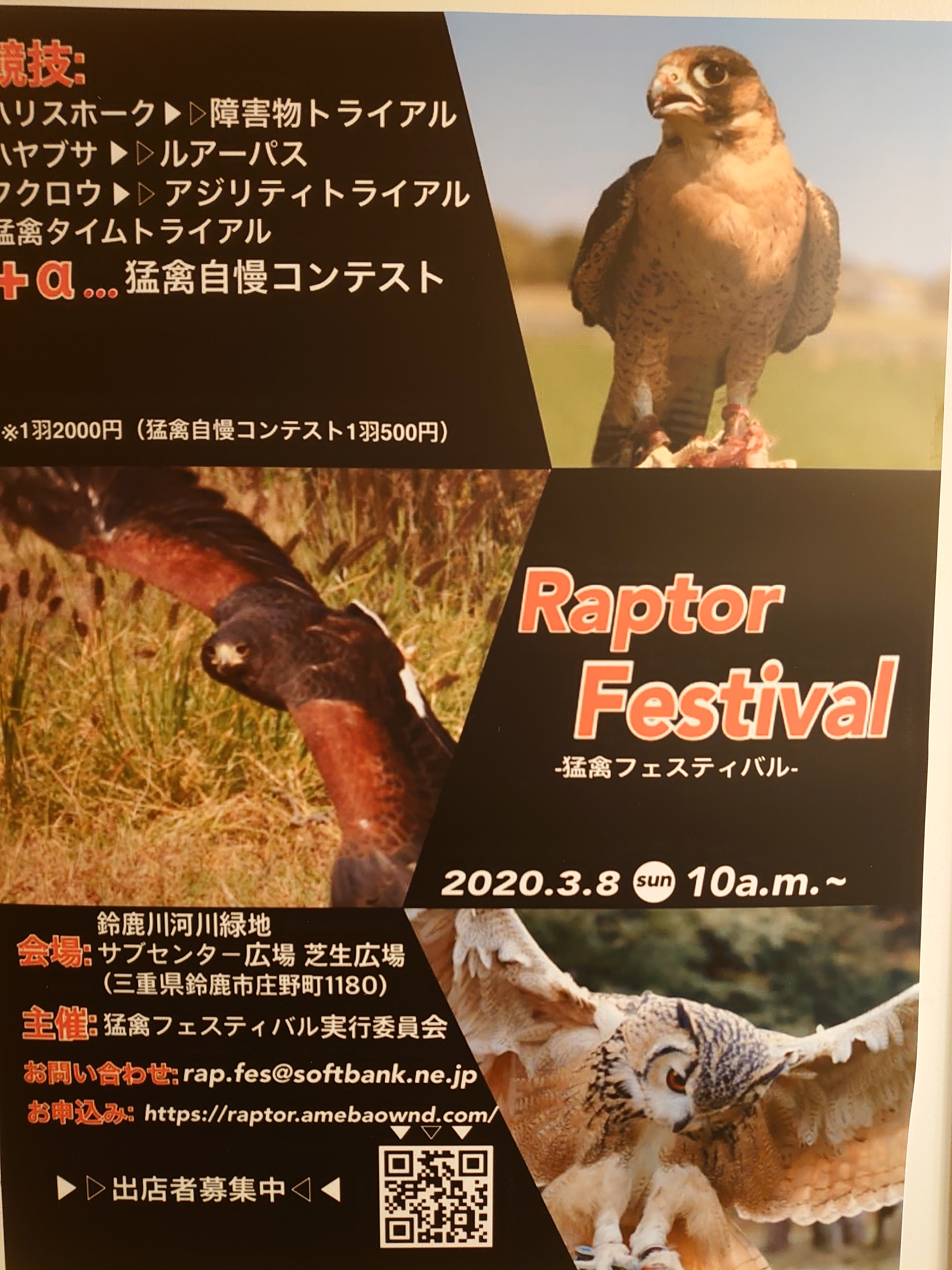 【直行バス】Raptor Festival -猛禽フェスティバル-