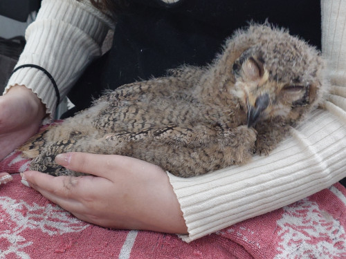 お迎えの季節が来ました❗️