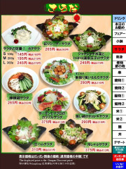 サラダ　ガンガン割り価格