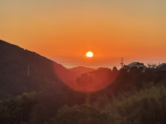 IMG_0553.jpeg