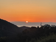 IMG_0543.jpeg