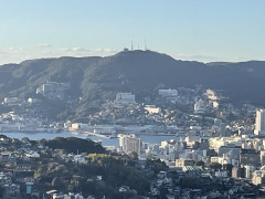 IMG_0557.jpeg