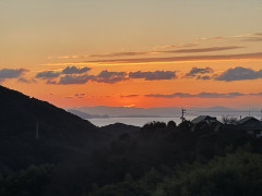 IMG_2423.jpeg
