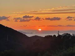 IMG_2426.jpeg