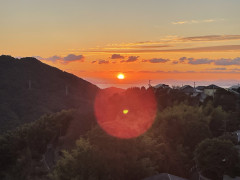 IMG_2432.jpeg