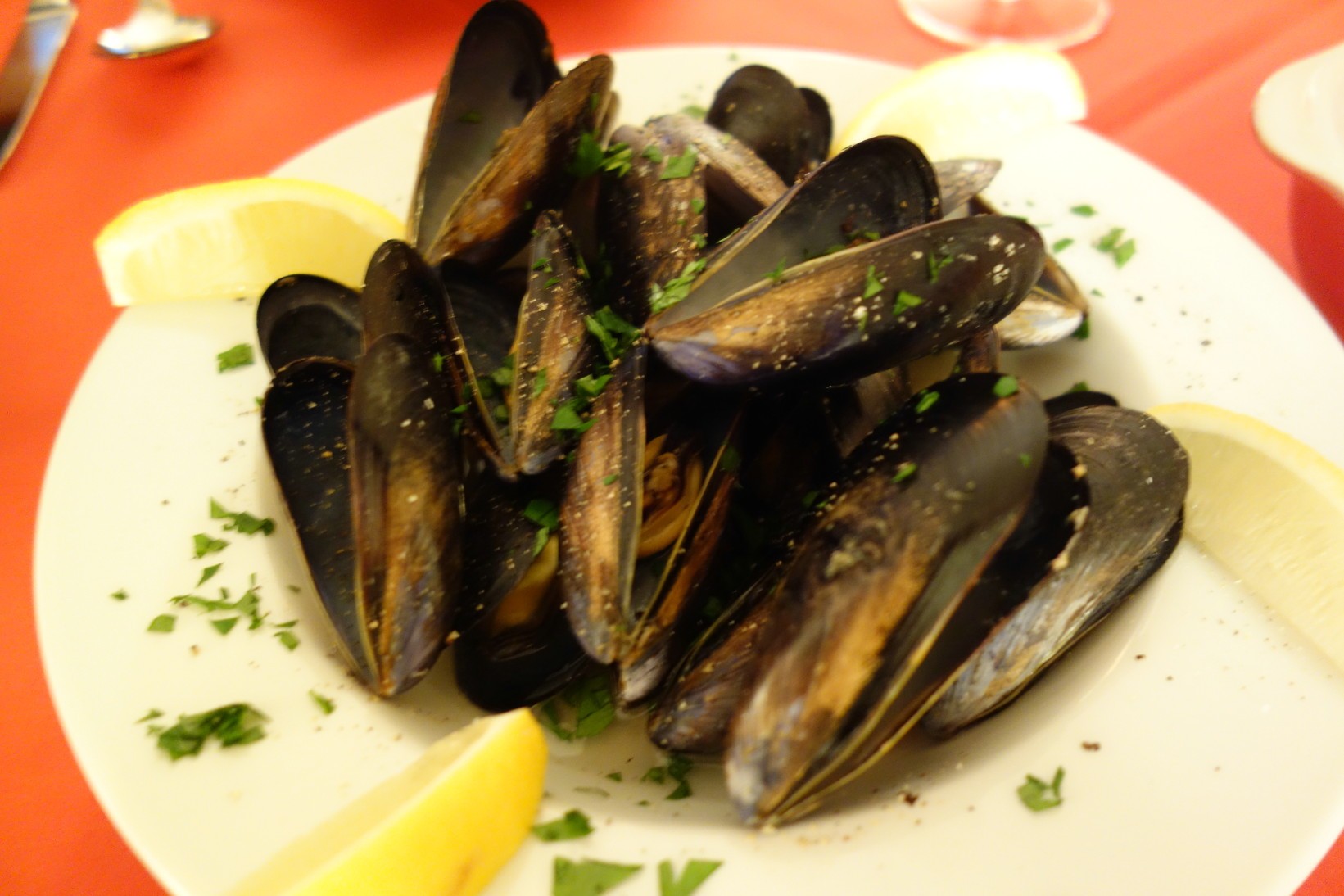 DSC08345_1_1.JPG