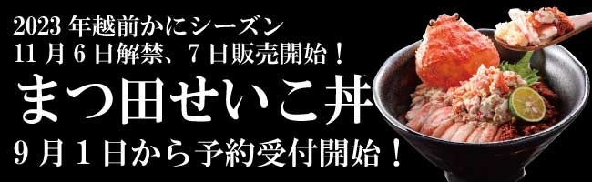 まつ田せいこ丼2023バナー.jpg