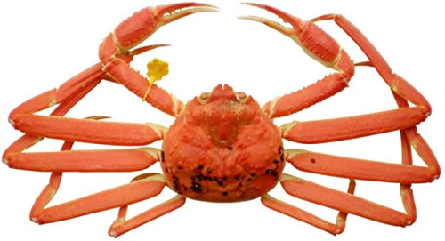 61RBG6AXBtL._AC_SX679_.jpg