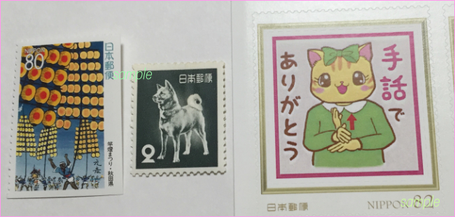 秋田犬と比較.jpg
