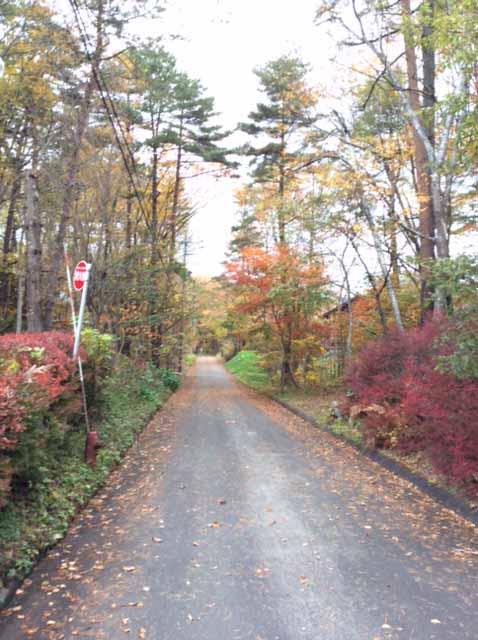 秋、宿の前の小道