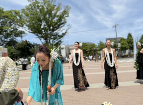IMG_2686.jpeg