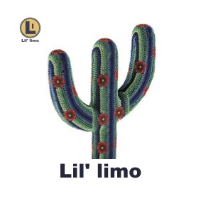 Lil' limo.jpeg