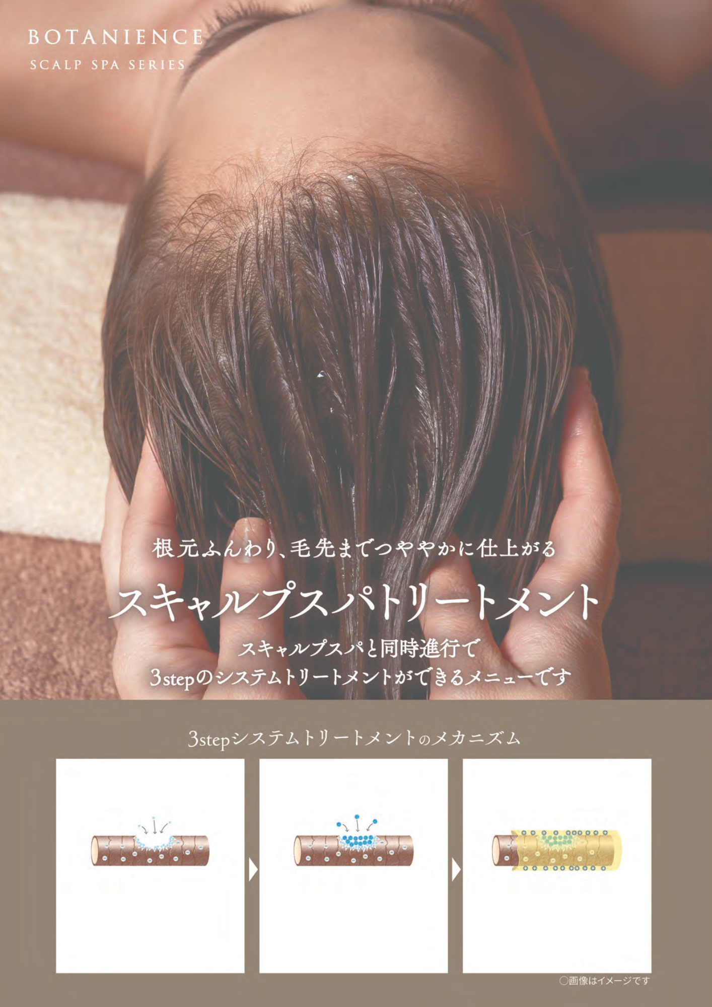 ボタニエンスじっくりケアコース