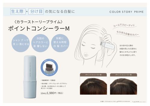 ColorStoryPrime_concealerB (1).pdf.png