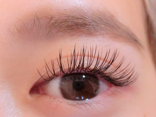 フラットラッシュ - eyebrow/eyelashsalon Clover 東京.国立の まつげ