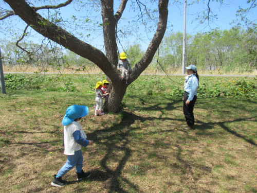 IMG_3306.JPG