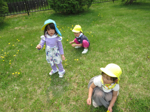 IMG_5898.JPG
