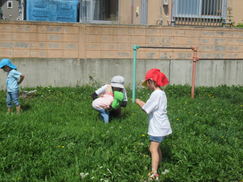 IMG_6761.JPG