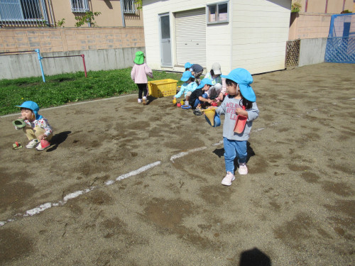 IMG_7231.JPG
