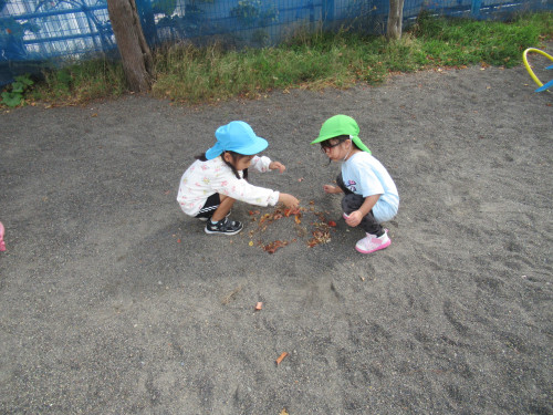 IMG_6146.JPG