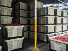 shipper bins stacked 2.30.05 PM.jpg