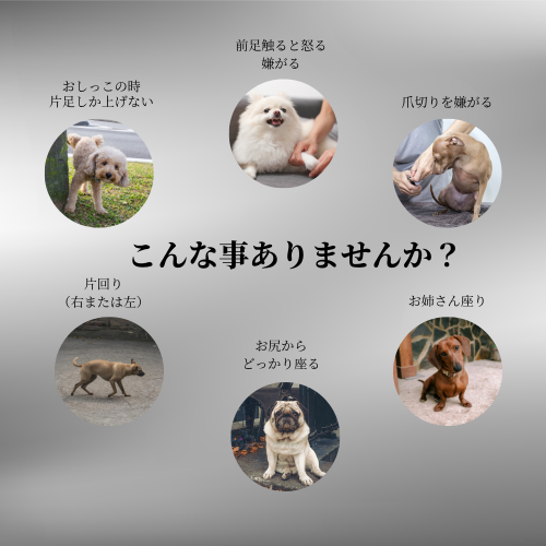 ── 年齢を問わず、すべての子の体を整えるケア ── (4).png