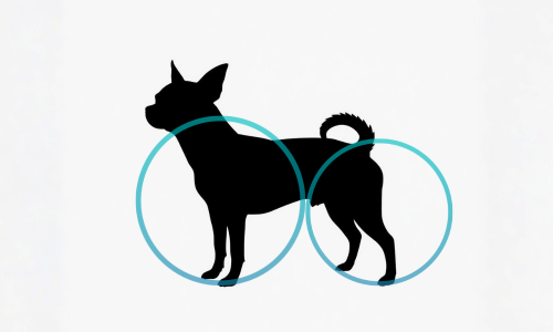 後ろ足を使いやすくする “やさしい足トレ” (1000 x 800 px) (1).png