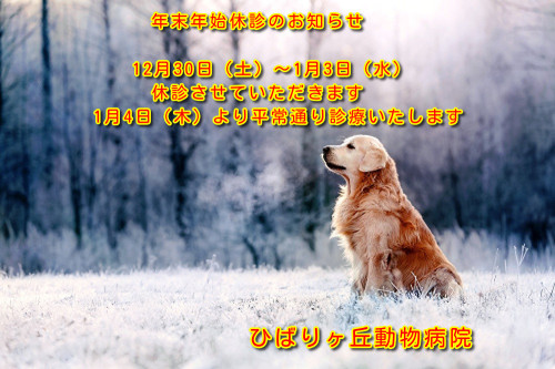 年末年始休診のお知らせ画像　2023.jpg