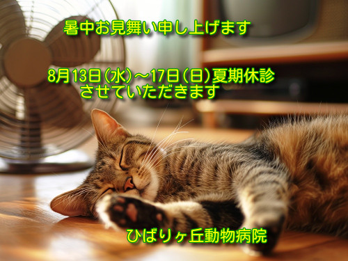 s5ljdW93ukN4Xo51752383676_1752384069.jpg