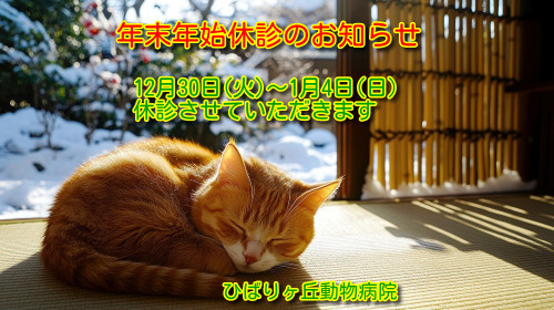 2025-2026年末年始休診画像.jpg
