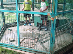 20260629_135729729.JPG