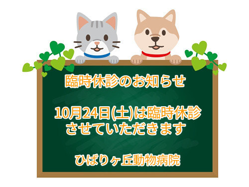 XuFMvRZsQe15YH51790535543_1790536032_3570.jpg