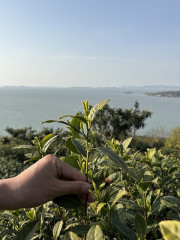 s-IMG_7945.jpg