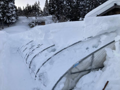 報道【農家「恐らく全損で数百万…」先の大雪で完全に埋もれた農業用ハウス やっと一部の骨組み見えてくるも寒波再来へ】2025年2月17日（月）夕方の東海テレビ