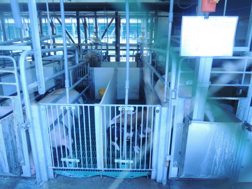 DSCN6635 - コピー.JPG