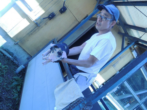 DSCN6645.JPG