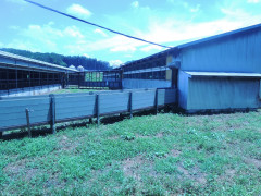 DSCN6655.JPG