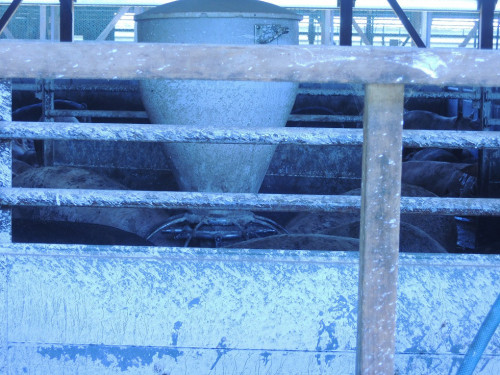 DSCN6656.JPG