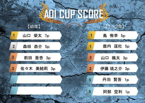 AOICUP SCORE.jpg
