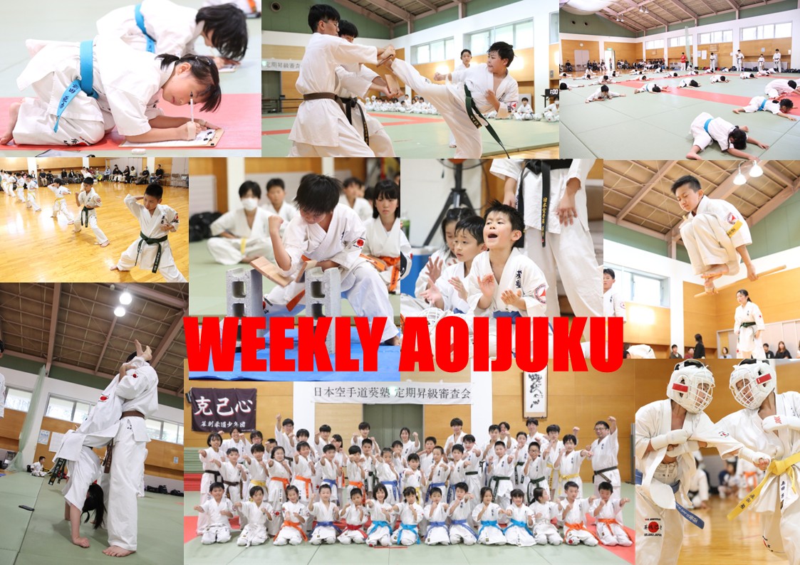 weekly aoijuku　作成用.jpg