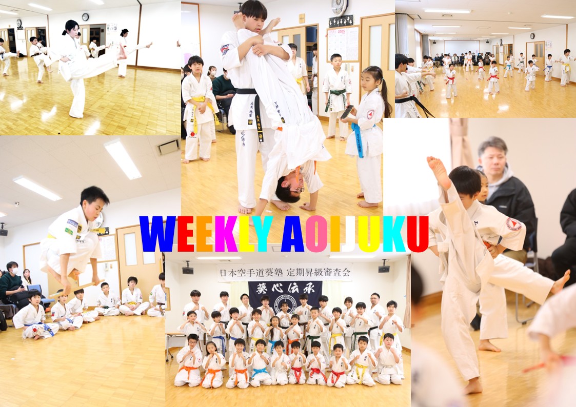 weekly aoijuku　作成用４.jpg