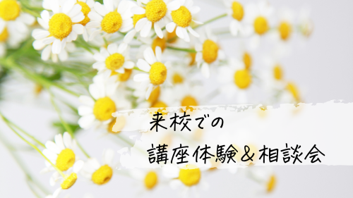 来校で体験・相談