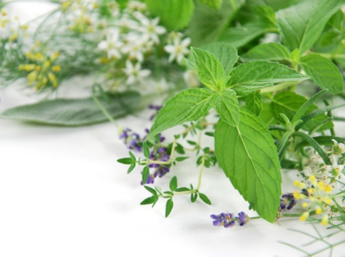 きららアロマテラピーの学びの様子