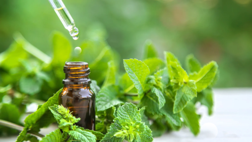 来校で体験・相談