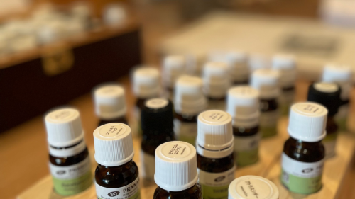 ワークショップ参加者さま限定ご案内