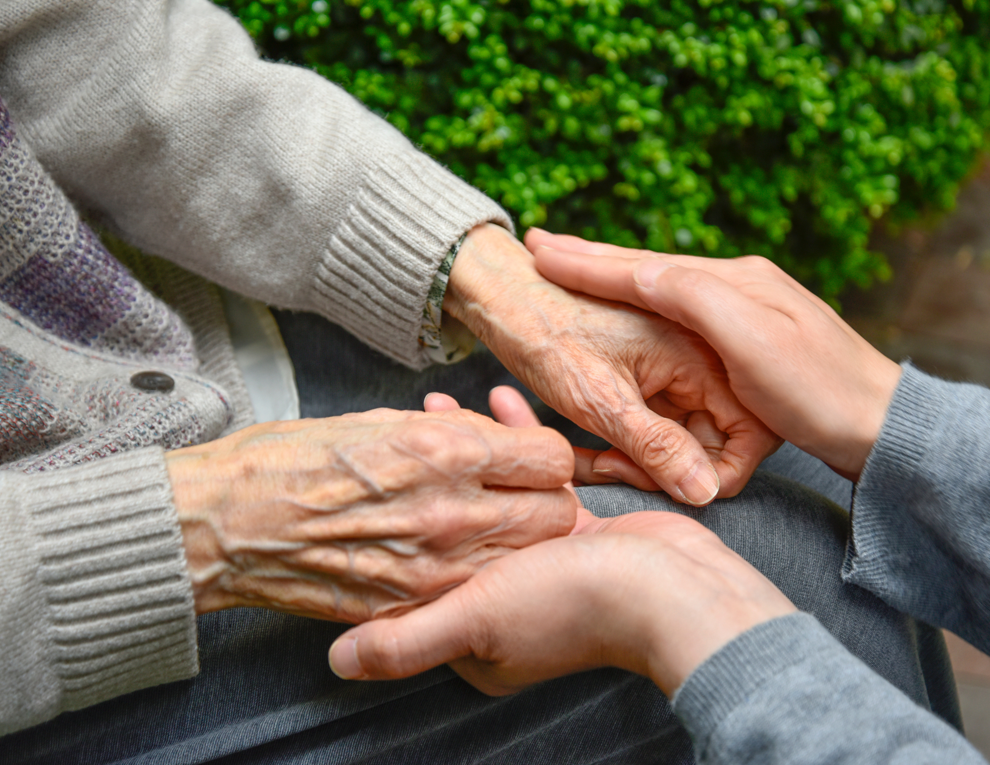 ハンドケアセラピスト講座